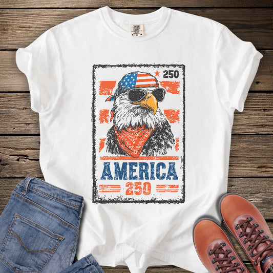 Freedom Flight 250 T-Shirt